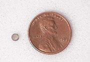 Small Neo Disk Small Neo Disk